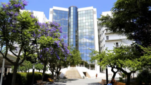 color image with photo of tower B and garden inside NOVA FCSH campus